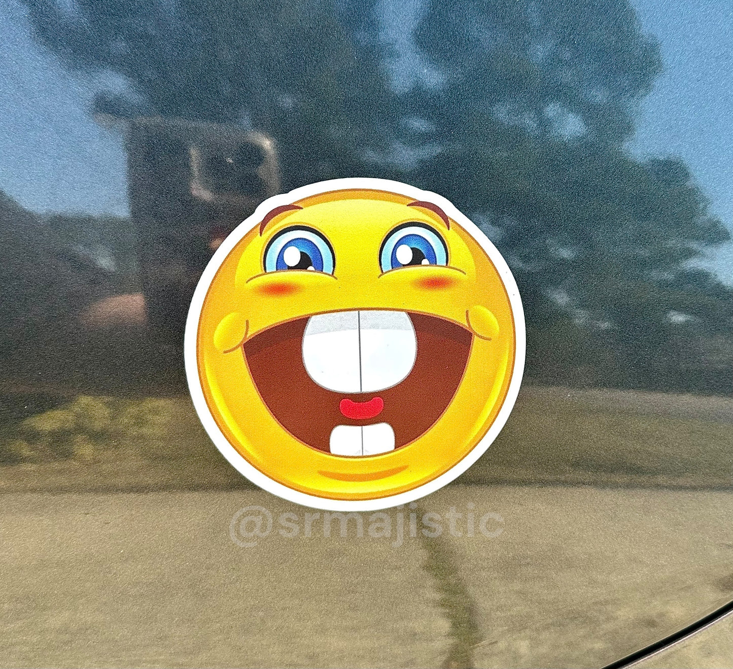 Buck Tooth Happy and Sad Emoji Meme Car Magnets