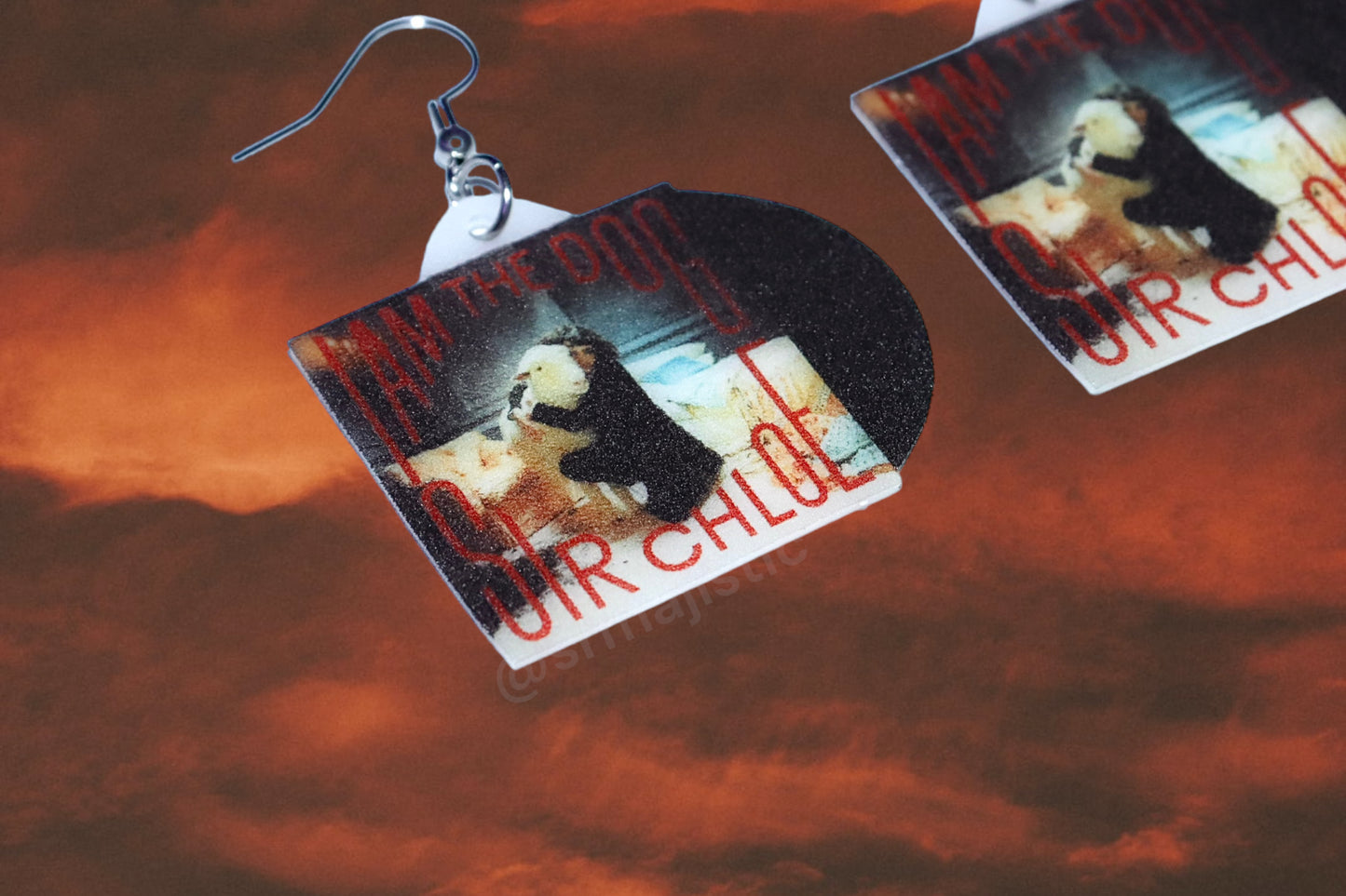 Sir Chloe I Am The Dog Vinyl Album Handmade Earrings!