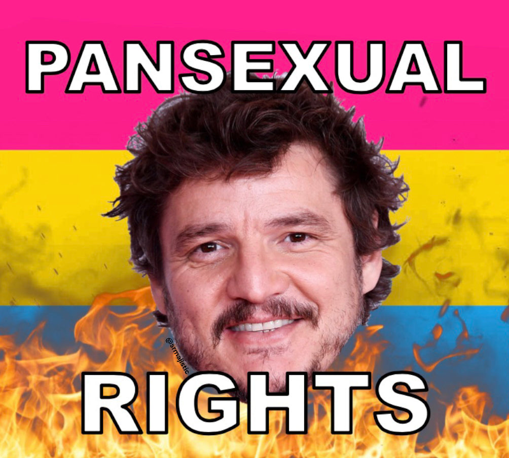 Bumper Stickers of Pedro Pascal Flaming Pride Flag