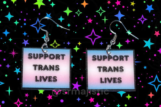 Support Trans Lives Flag Design Handmade Earrings!