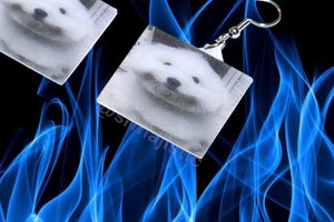 Mulch Dog Meme Funny Handmade Earrings!