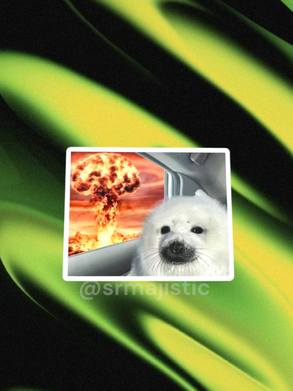 Seal Driving by Explosion Meme Bumper Sticker