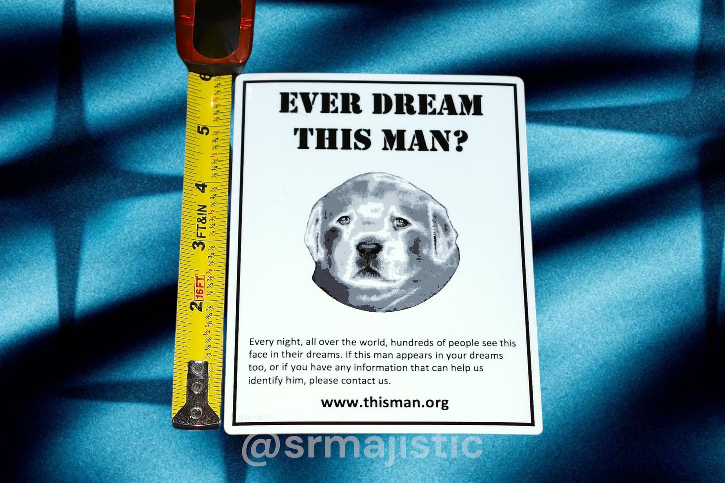 Do you know this Man? Puppy Dog Meme Bumper Sticker