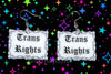 Barbed Wire Gothic Trans Rights Sign Handmade Earrings!