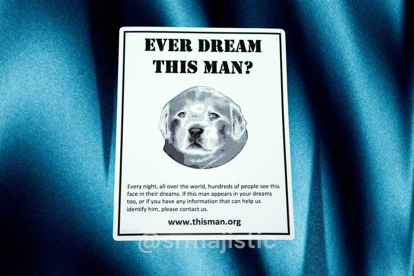 Do you know this Man? Puppy Dog Meme Bumper Sticker