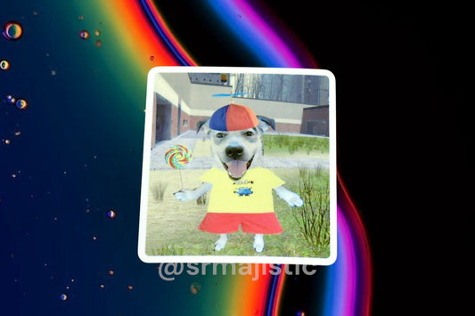 Propeller Hat and Lollipop Puppy Dog Meme Bumper Sticker