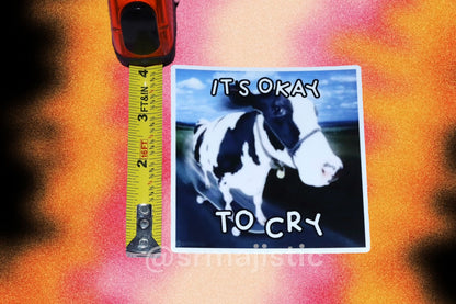 ITS OKAY TO CRY Cow on a Skateboard Bumper Sticker