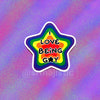 I Love Being Gay Various Pride Star Bumper Stickers!