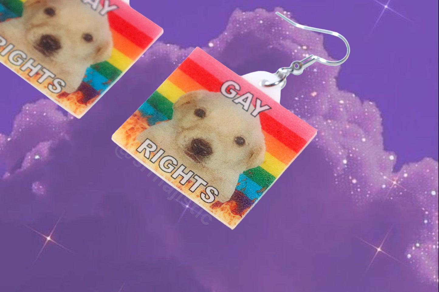 (READY TO SHIP) Jotchua Dog Flaming Pride Flags Handmade Earrings!
