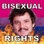 Bumper Stickers of Pedro Pascal Flaming Pride Flag