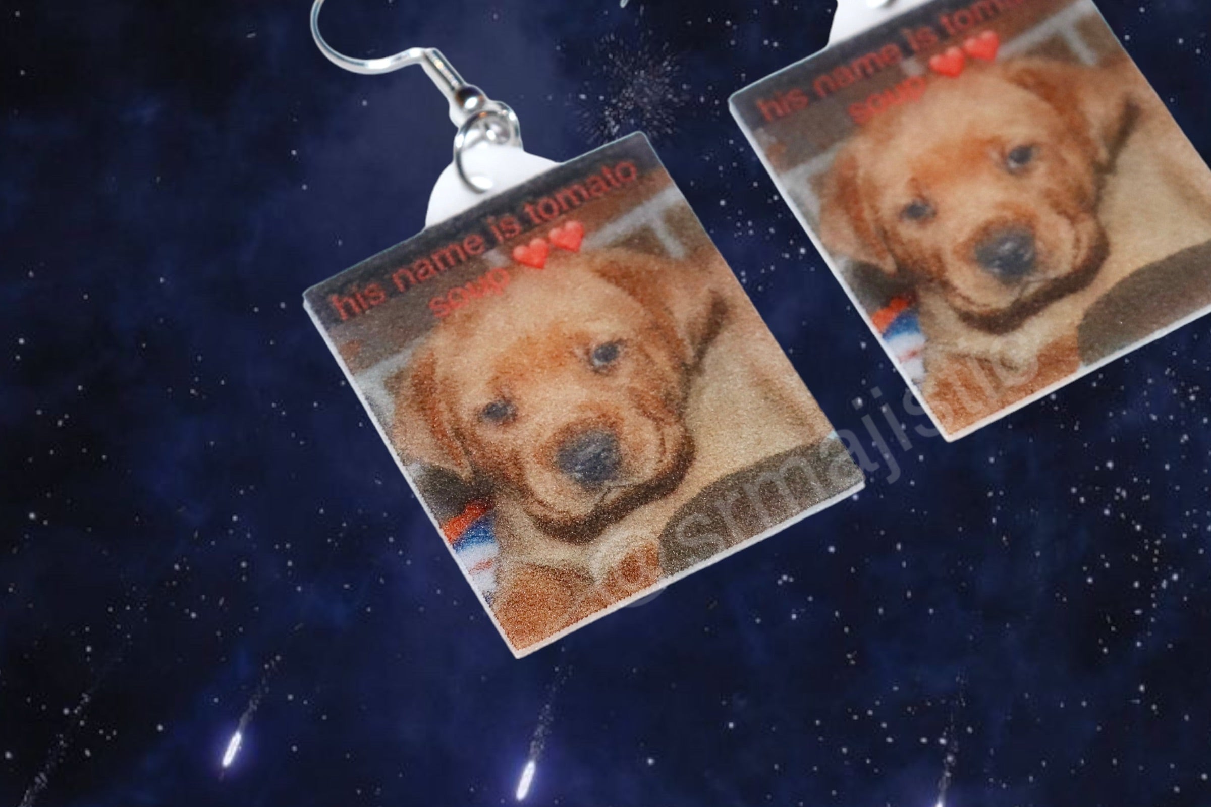 ‘His name is Tomato Soup ♥️♥️’ Cute Dog Funny Meme Handmade Earrings!