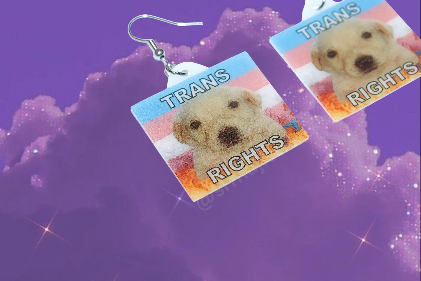 (READY TO SHIP) Jotchua Dog Flaming Pride Flags Handmade Earrings!