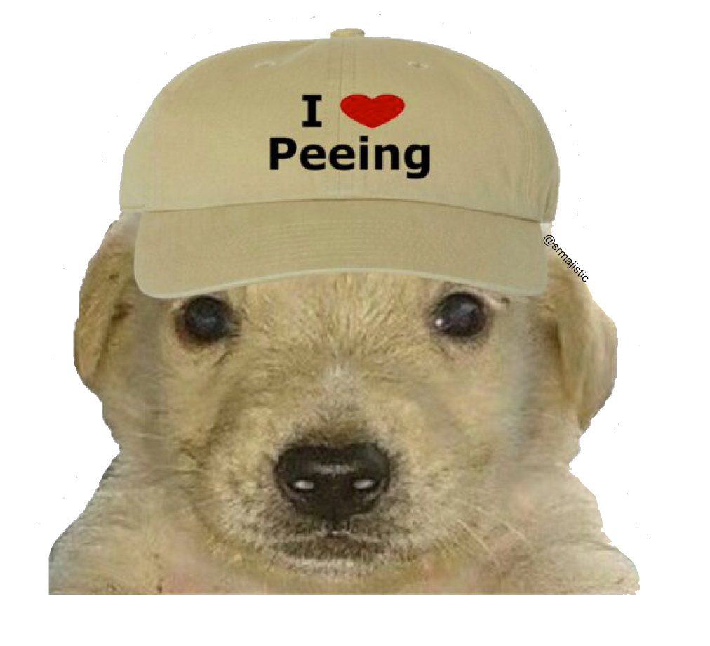 Bumper Sticker of Jotchua Peeing Dog Meme