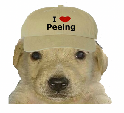 Jotchua Peeing Dog Meme Magnet