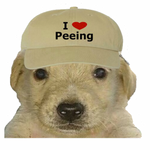 Bumper Sticker of Jotchua Peeing Dog Meme