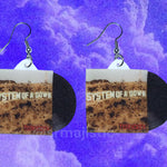 System of a Down Toxicity Vinyl Album Handmade Earrings!