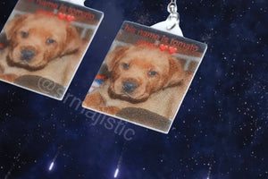 ‘His name is Tomato Soup ♥️♥️’ Cute Dog Funny Meme Handmade Earrings!
