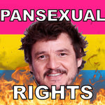 Bumper Stickers of Pedro Pascal Flaming Pride Flag