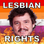 Bumper Stickers of Pedro Pascal Flaming Pride Flag