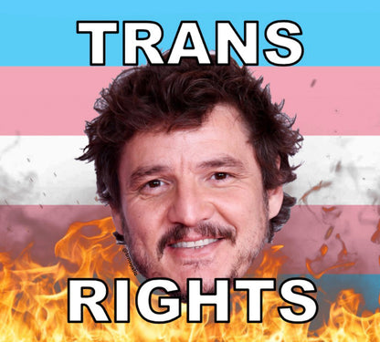 Bumper Stickers of Pedro Pascal Flaming Pride Flag