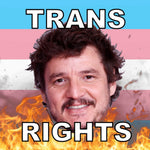 Bumper Stickers of Pedro Pascal Flaming Pride Flag