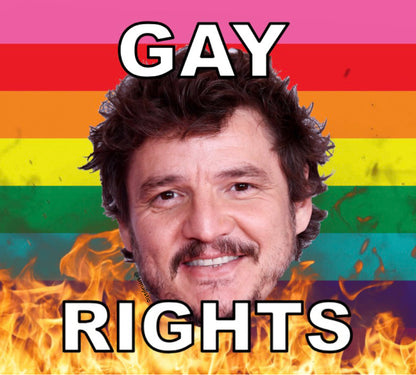Bumper Stickers of Pedro Pascal Flaming Pride Flag