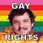 Bumper Stickers of Pedro Pascal Flaming Pride Flag