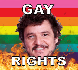 Bumper Stickers of Pedro Pascal Flaming Pride Flag