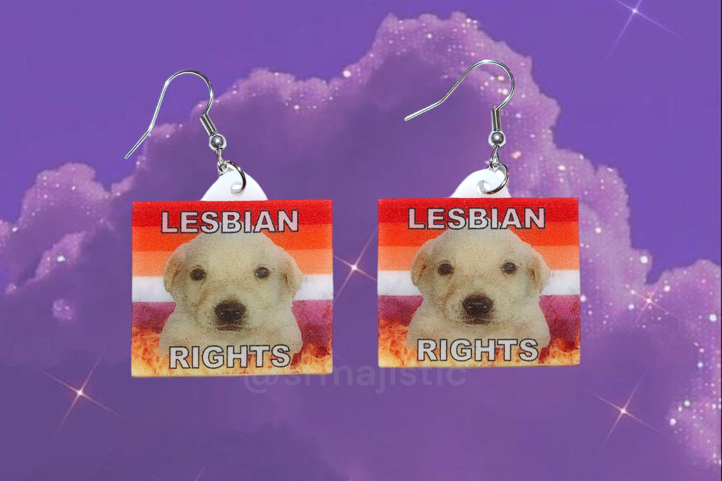 (READY TO SHIP) Jotchua Dog Flaming Pride Flags Handmade Earrings!