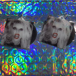 Lady Gaga Born this Way Vinyl Album Handmade Earrings!