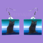 Jinx says Gay Rights cute pride flag detailed Handmade Earrings!