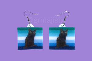 Jinx says Gay Rights cute pride flag detailed Handmade Earrings!