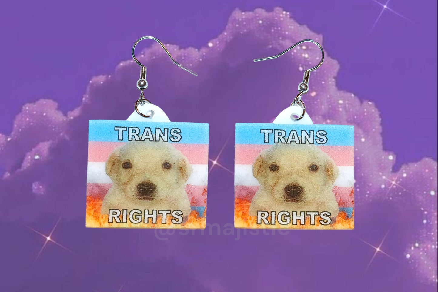 Jotchua Dog Flaming Pride Flags Handmade Earrings!