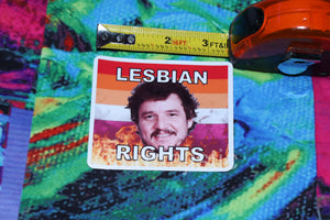 Pedro Pascal Flaming Pride Flag Character Stickers