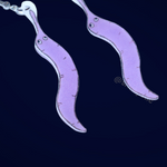 Worm on a String Handmade Earrings!