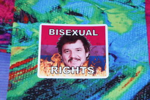 Pedro Pascal Flaming Pride Flag Character Stickers