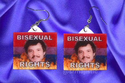 Pedro Pascal Bisexual Rights Flame Pride Flag Handmade Earrings!