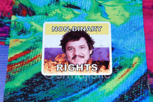 Pedro Pascal Flaming Pride Flag Character Stickers