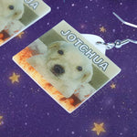 Jotchua Flag with Flames Funny Handmade Earrings!