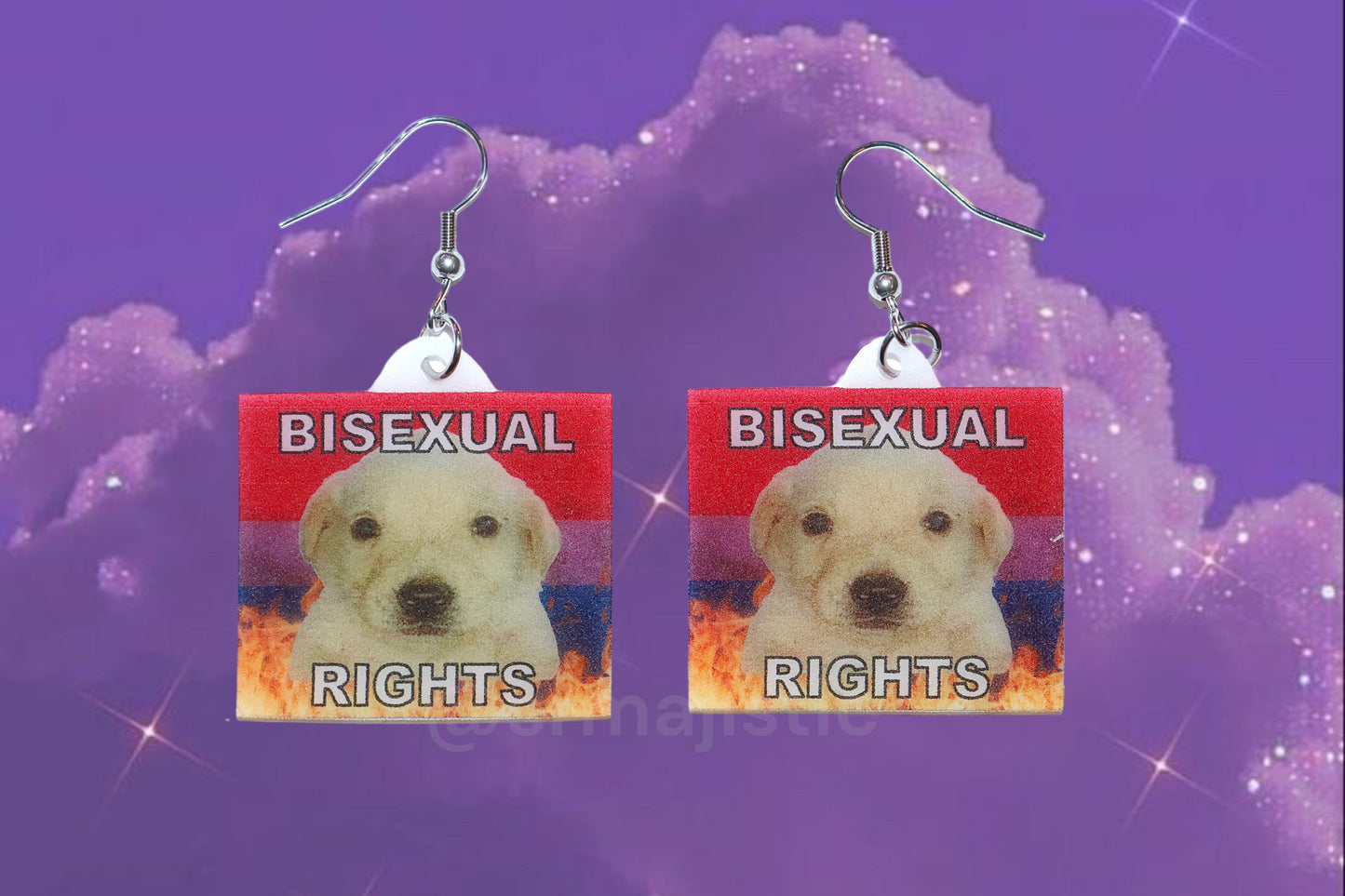 Jotchua Dog Flaming Pride Flags Handmade Earrings!
