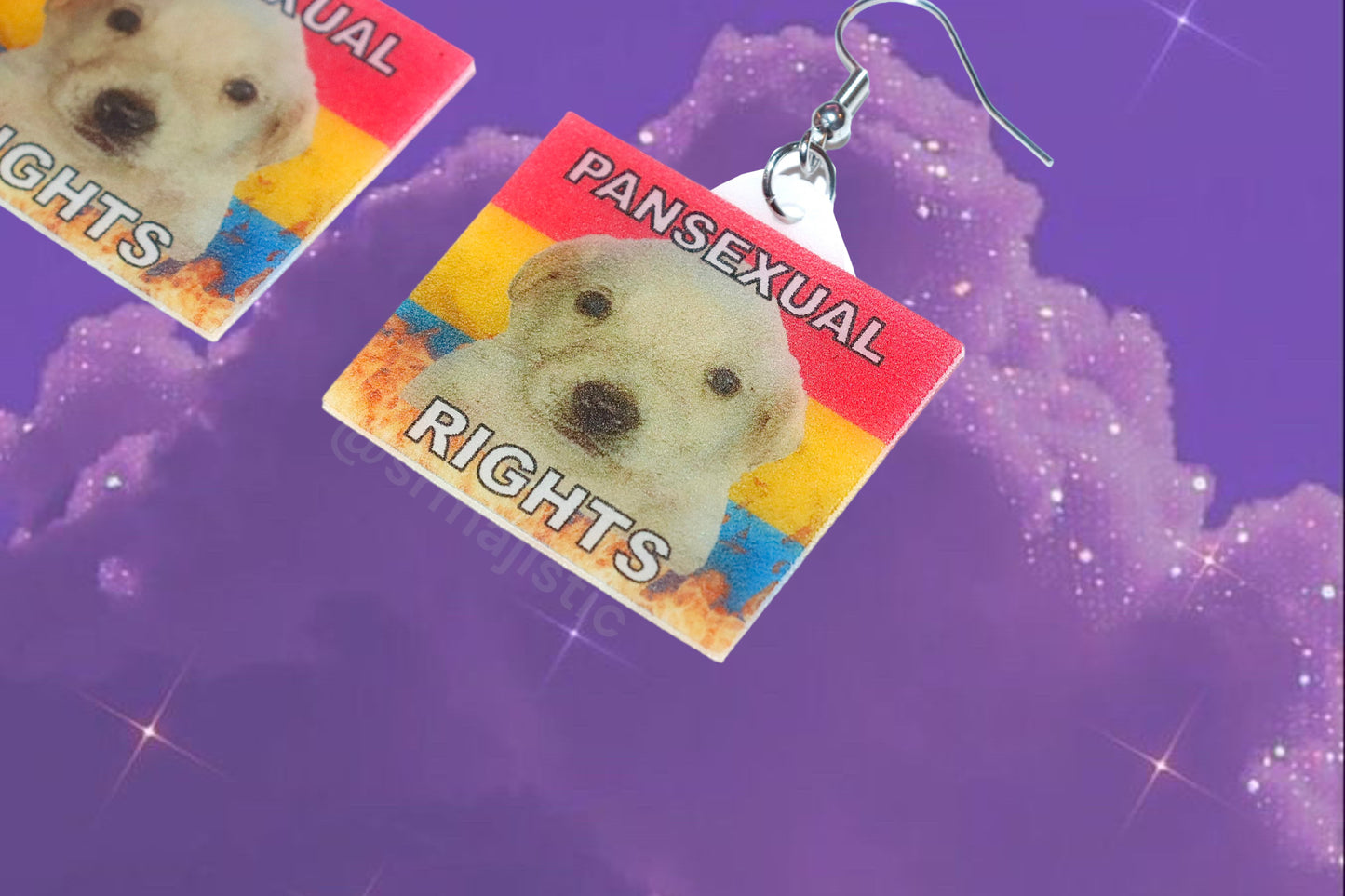 Jotchua Dog Flaming Pride Flags Handmade Earrings!