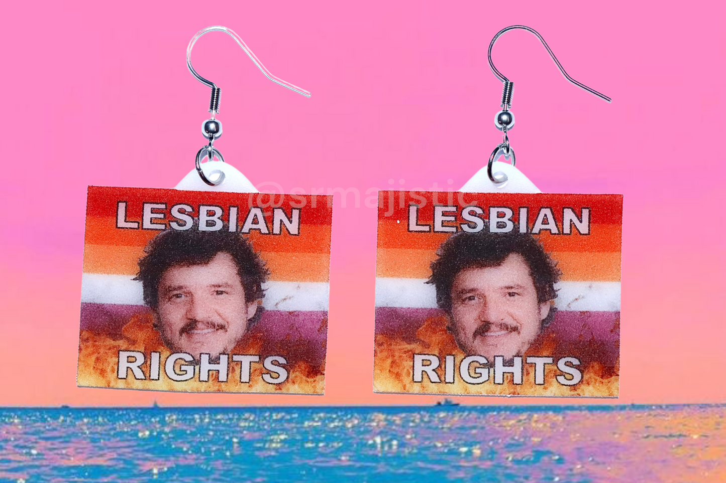 Pedro Pascal Lesbian Rights Flame Pride Flag Handmade Earrings!