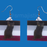 Jinx says Gay Rights cute pride flag detailed Handmade Earrings!