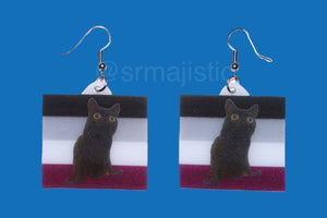 Jinx says Gay Rights cute pride flag detailed Handmade Earrings!