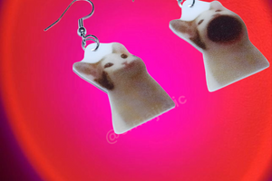 Pop Cat Meme Handmade Earrings!