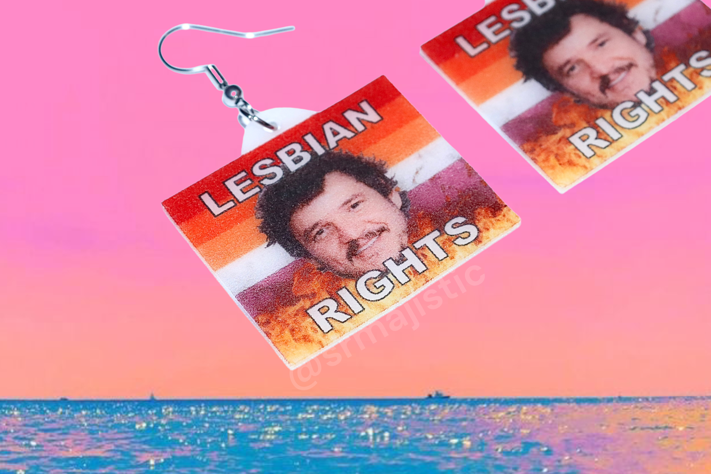 Pedro Pascal Lesbian Rights Flame Pride Flag Handmade Earrings!
