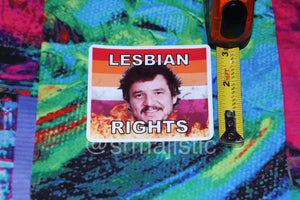 Pedro Pascal Flaming Pride Flag Character Stickers