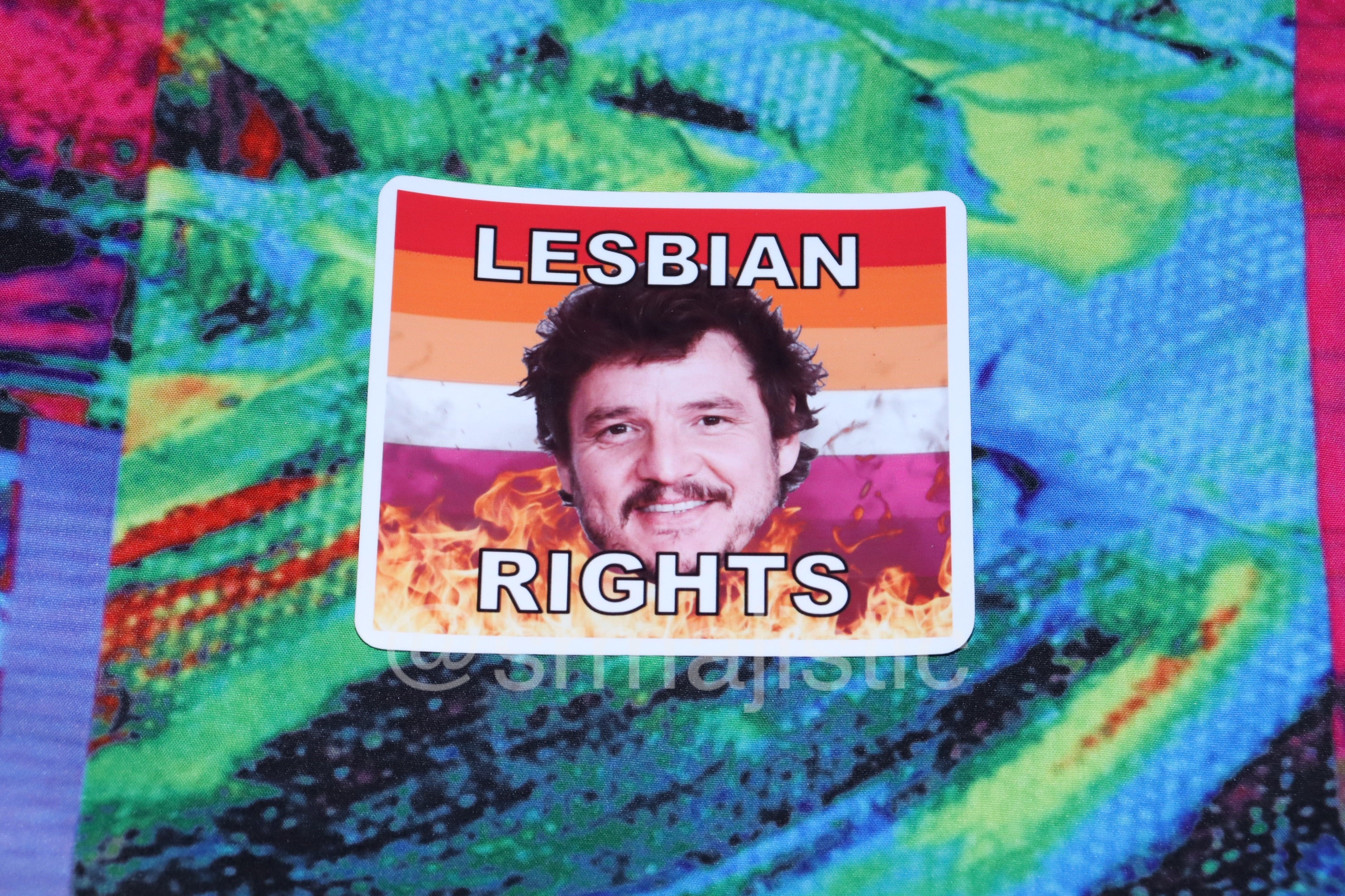 Pedro Pascal Flaming Pride Flag Character Stickers