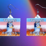 Bluey Trans Rights Flame Pride Flag Handmade Earrings!