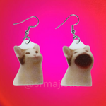 Pop Cat Meme Handmade Earrings!